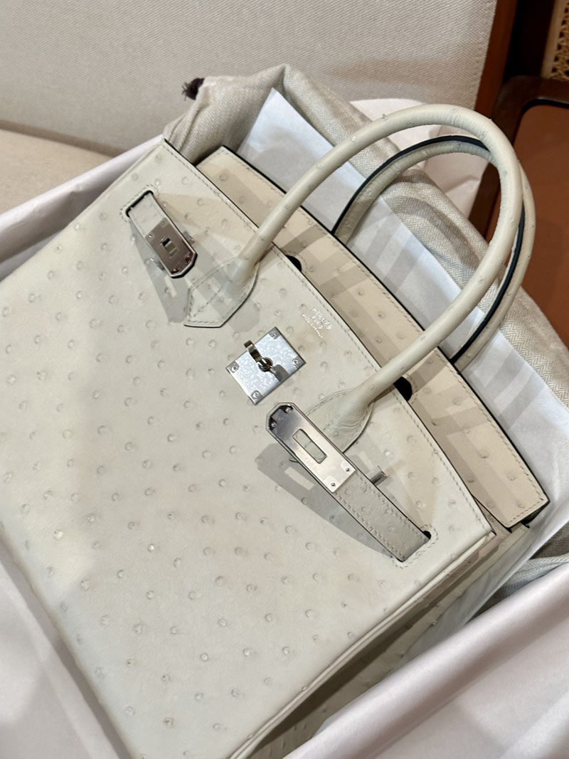 バーキン30 オーストリッチ 定価 エルメス HERMES バーキン30 パーシュマン オーストリッチ シルバー金具 2412851 - 画像 (13)