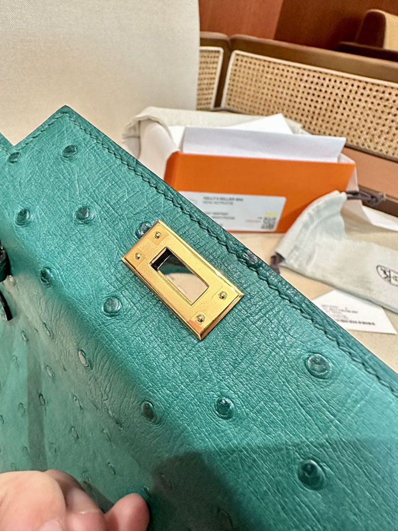 エルメス HERMES ケリーミニ 20 外縫い ヴェールヴェルティゴ オーストリッチ ゴールド金具 2412922 ブランドミニバッグ人気 - 画像 (6)