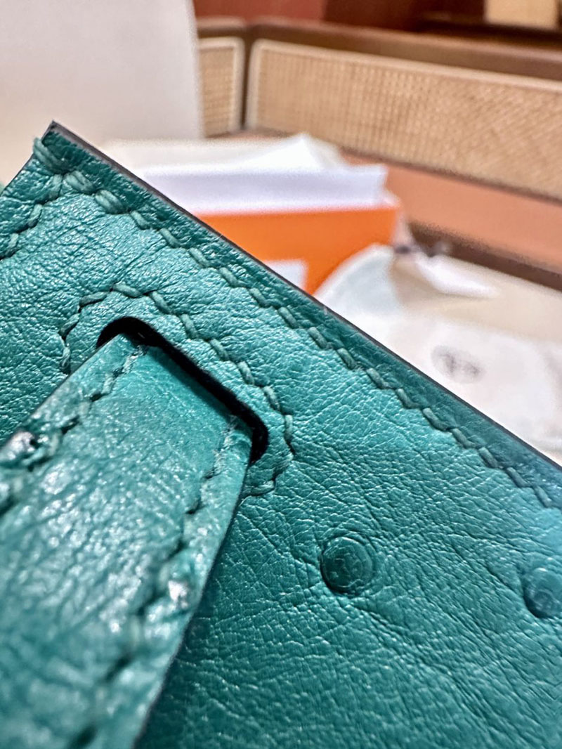 エルメス HERMES ケリーミニ 20 外縫い ヴェールヴェルティゴ オーストリッチ ゴールド金具 2412922 ブランドミニバッグ人気 - 画像 (5)