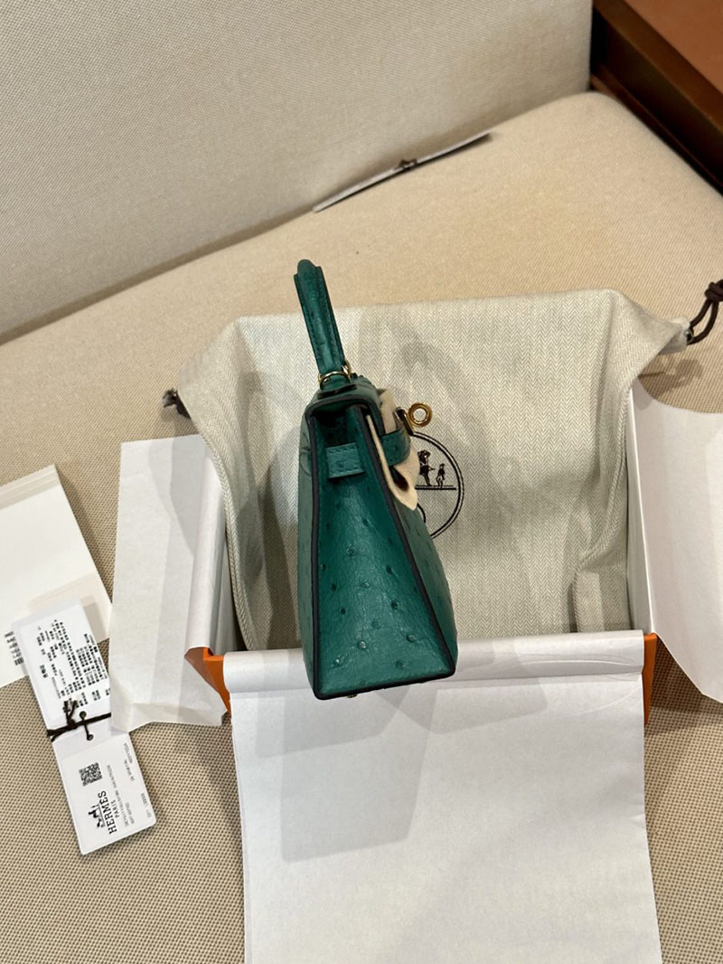 エルメス HERMES ケリーミニ 20 外縫い ヴェールヴェルティゴ オーストリッチ ゴールド金具 2412922 ブランドミニバッグ人気 - 画像 (2)