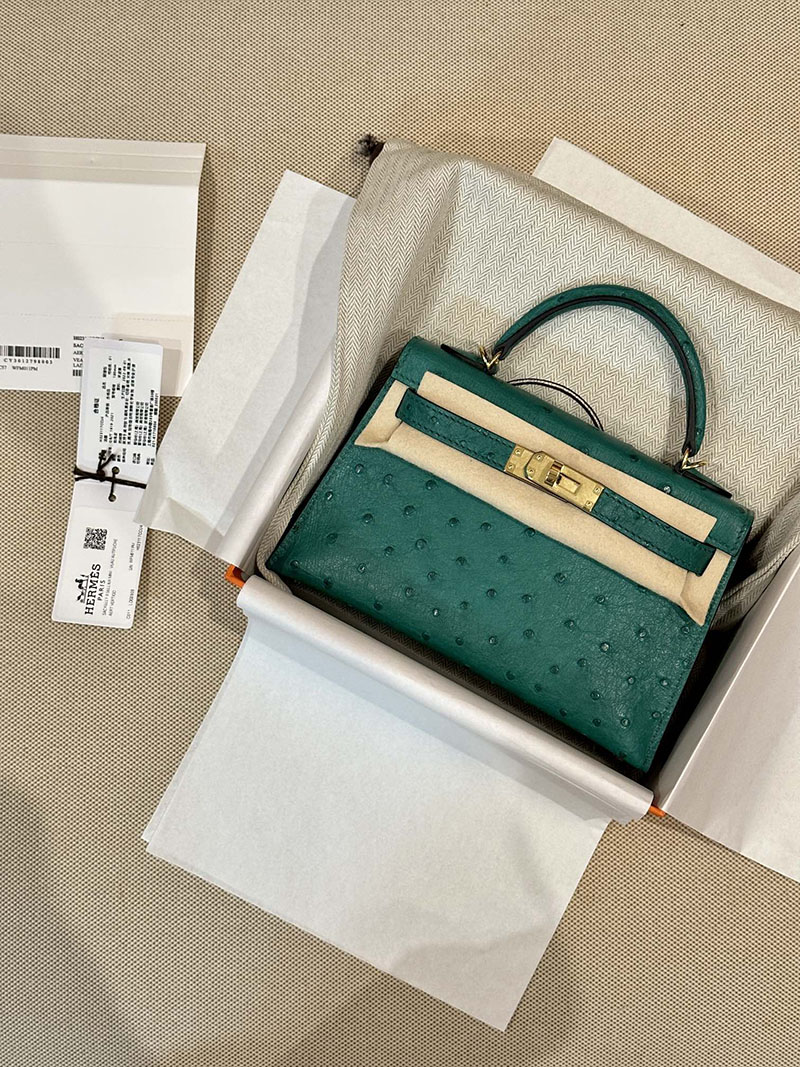 エルメス HERMES ケリーミニ 20 外縫い ヴェールヴェルティゴ オーストリッチ ゴールド金具 2412922 ブランドミニバッグ人気 - 画像 (13)