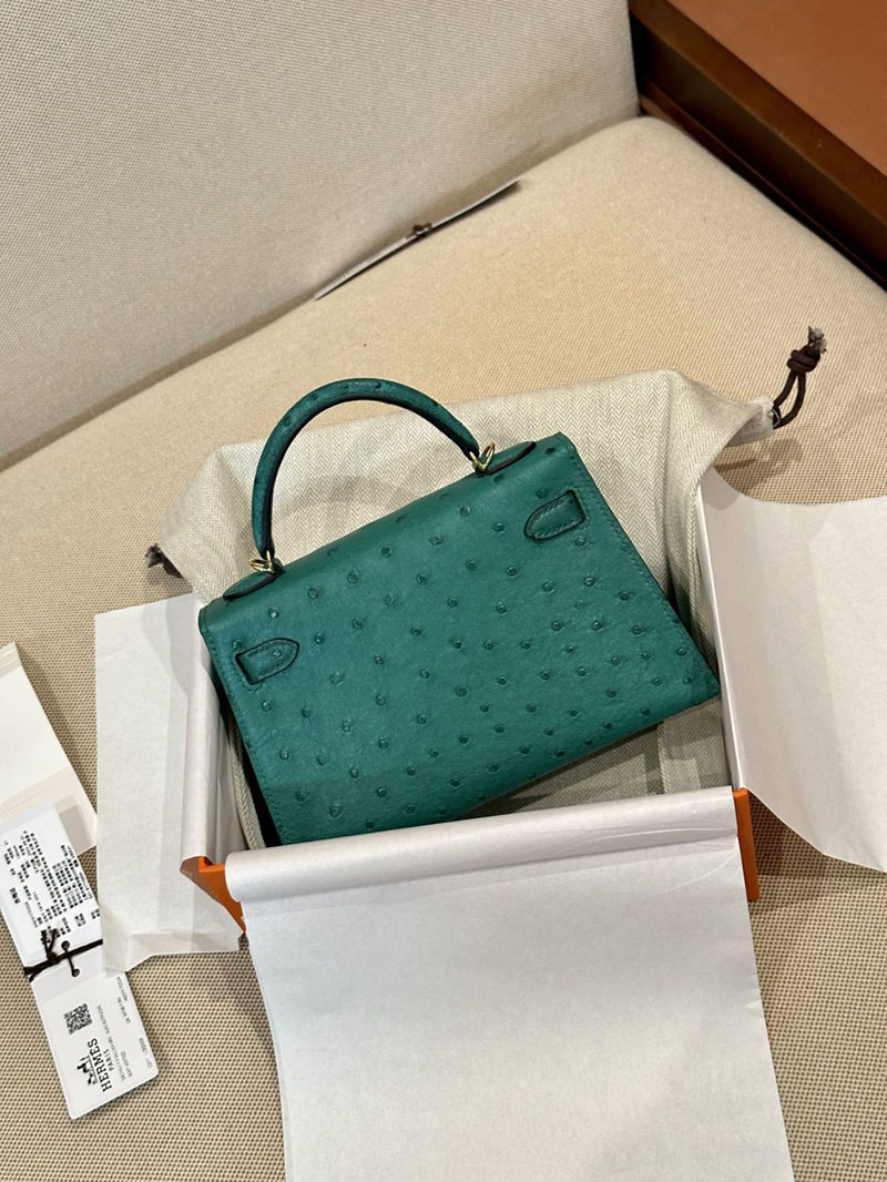 エルメス HERMES ケリーミニ 20 外縫い ヴェールヴェルティゴ オーストリッチ ゴールド金具 2412922 ブランドミニバッグ人気 - 画像 (10)
