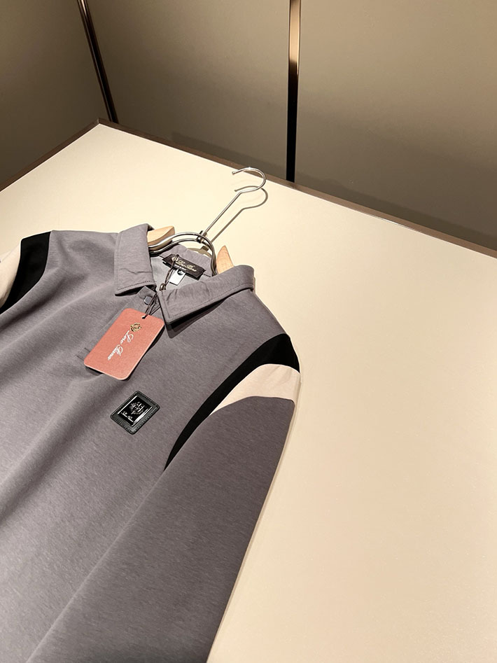 最高級ロロ・ピアーナスーパーコピー LoroPiana 長袖ポロシャツ ロングスリーブ トップス グレー 2524965 ロロピアーナ 長袖 ポロシャツ - 画像 (6)