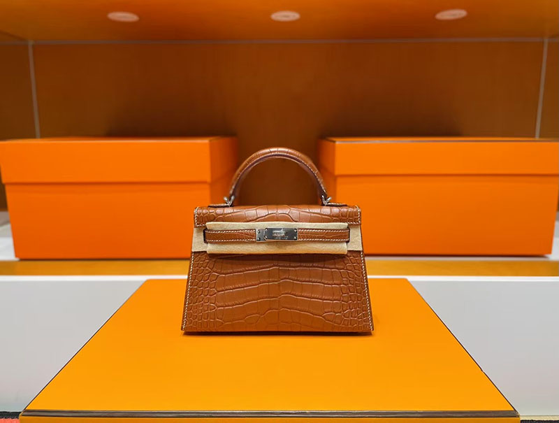 エルメス ミニケリー クロコ HERMES ケリーミニ2 外縫い ゴールド クロコダイル アリゲーターマット シルバー金具 2627732 エルメス 新作バッグ - 画像 (8)