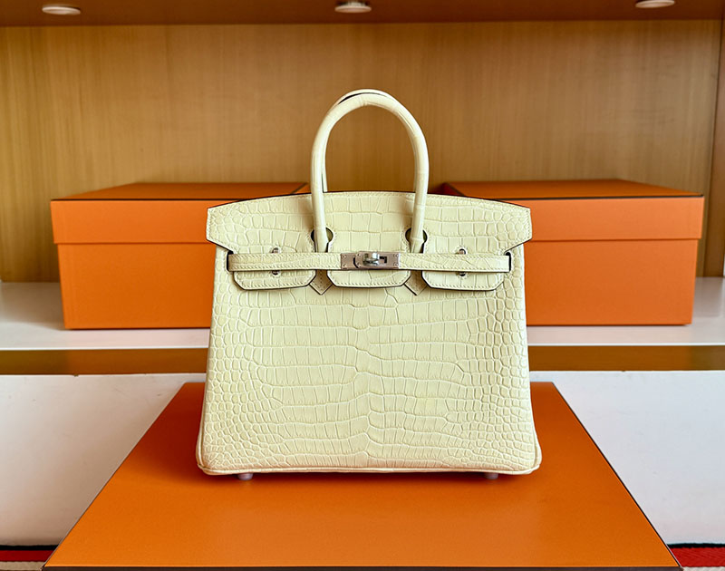 バーキン25 クロコ 定価 HERMES バーキン25 ヴァニラ クロコダイル アリゲーターマット シルバー金具 2627846 エルメス 新作バッグ - 画像 (9)