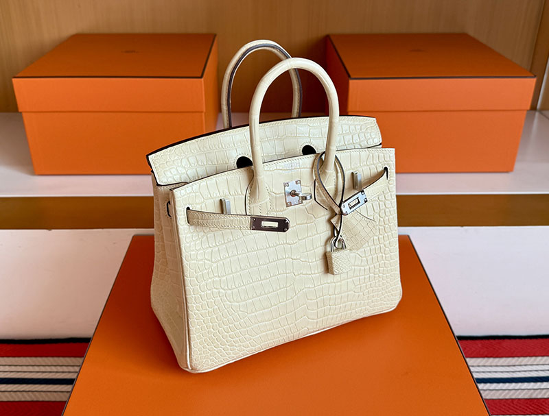 バーキン25 クロコ 定価 HERMES バーキン25 ヴァニラ クロコダイル アリゲーターマット シルバー金具 2627846 エルメス 新作バッグ - 画像 (8)