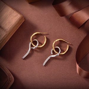 レディース バレンシアガ ピアス