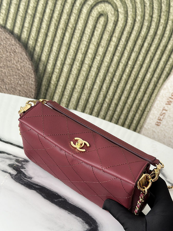最高級シャネルスーパーコピー CHANEL 2026新作 ハンドバッグ ホーボーバッグ ワインレッド AS6255 B24044 NZG79 シャネル バッグ アウトレット - 画像 (5)