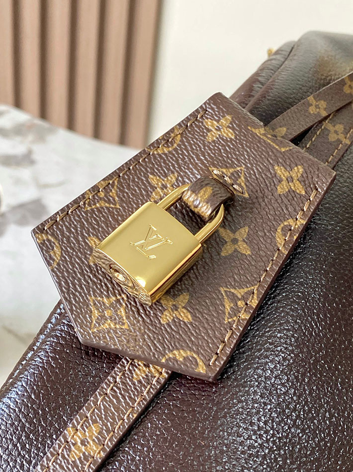 ルイヴィトン バッグ 新作 Louis Vuitton Express MM エクスプレスMM アカジュー M26397 ルイヴィトン 新作バッグ 2026 - 画像 (6)